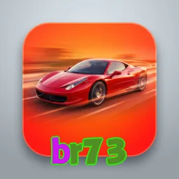 br73